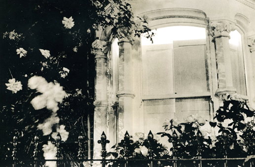 Chasing Shadows - shutters