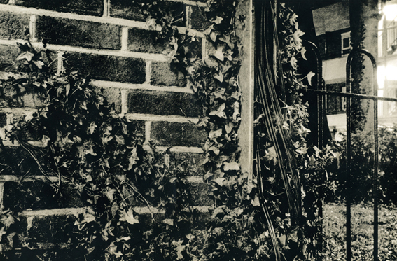 Chasing Shadows - cables