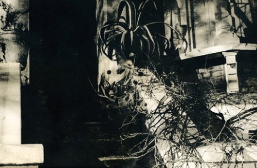 Chasing Shadows - steps