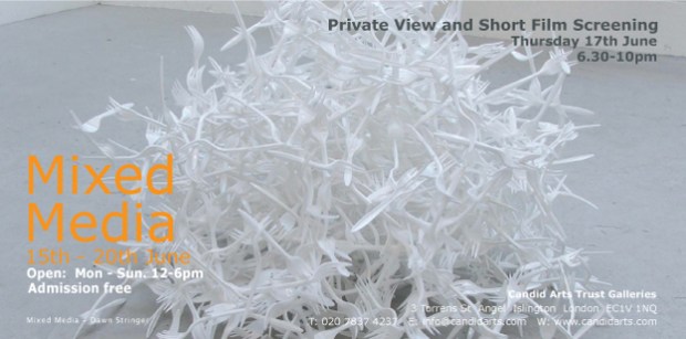 Candid Arts Trust Mixed Media Show 150610-200610