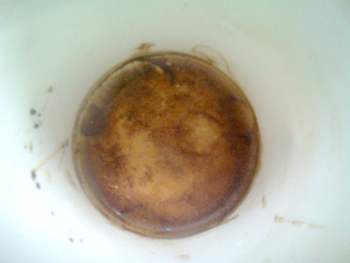 communal kitchen area 0586 communal kitchen area 0586