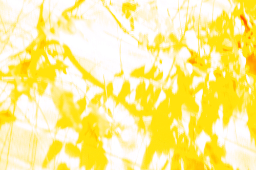 nightshootsDSC_0023 Tyssen Road