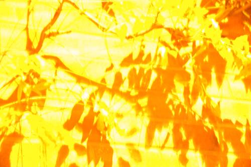 nightshootsDSC_0033 Tyssen Road