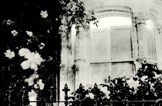 Chasing Shadows - shutters