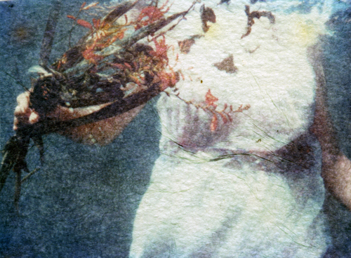 Ophelia #2 - polaroid emulsion lift