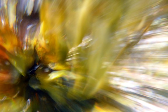 ...and then I was the wind - I