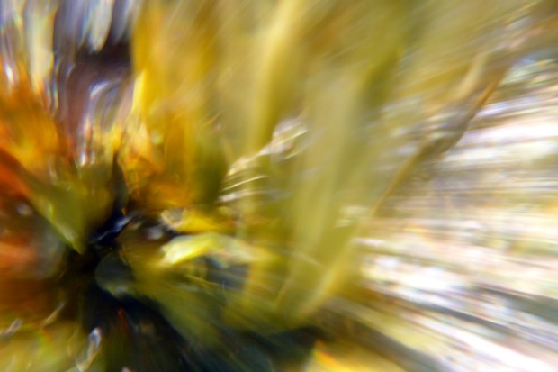 ...and then I was the wind - I