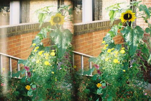 this table is sad because no one is sitting at it