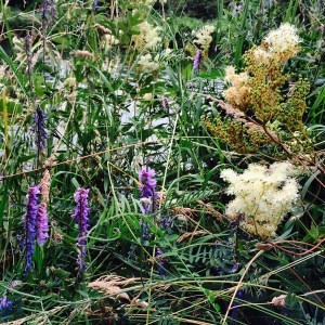 The Gloucester and Sharpness Canal