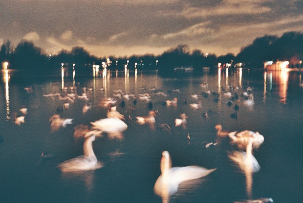 this table is sad because no one is sitting at it