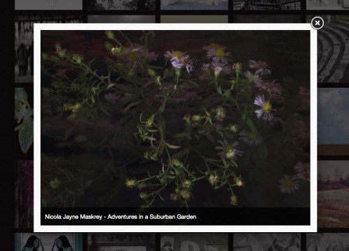 7th Julia Margaret Cameron Awards - Finalist - Digital Manipulation