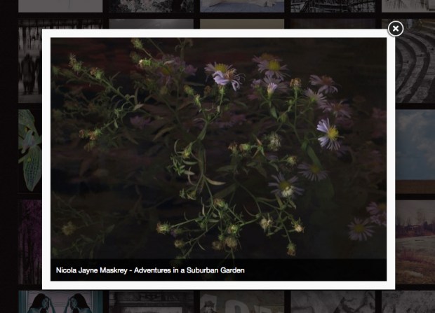 JMC Digital Manipulation