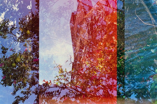 NJMaskrey_9628-small