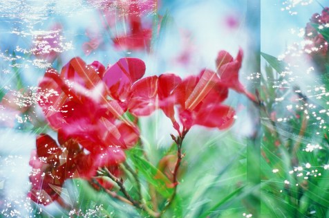 51 Fluidity FFWL 58940013